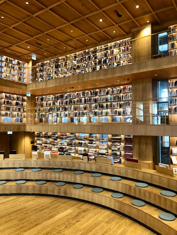 Multi-Category Learning Expertise